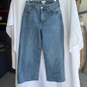 H&M Blue Flare & Wide Leg Jeans